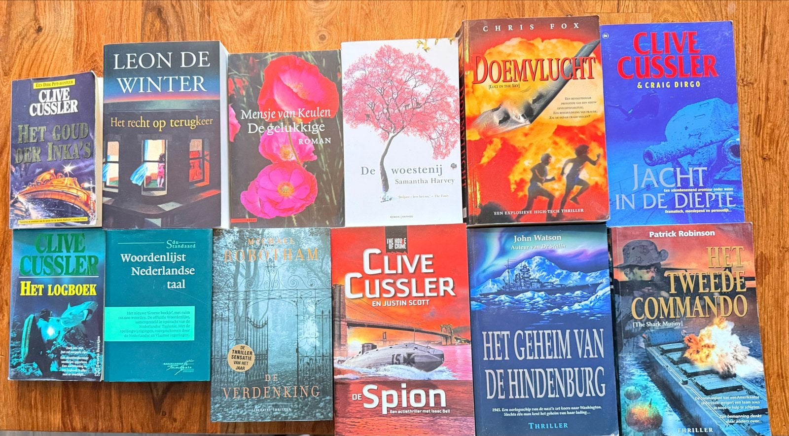 Diverse boeken: romans, thrillers, non-fictie en meer, Ophalen, Gelezen