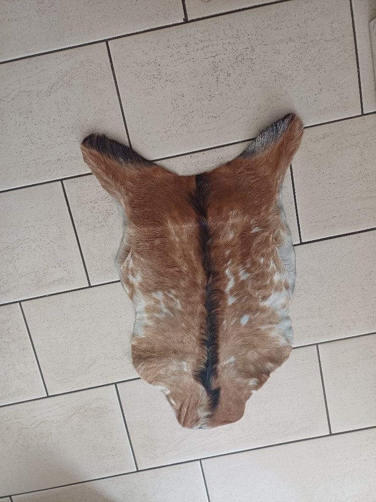 vloerkleed dierenhuid, Huis en Inrichting, Stoffering | Tapijten en Kleden, 50 tot 100 cm, Zo goed als nieuw, Bruin, Rechthoekig