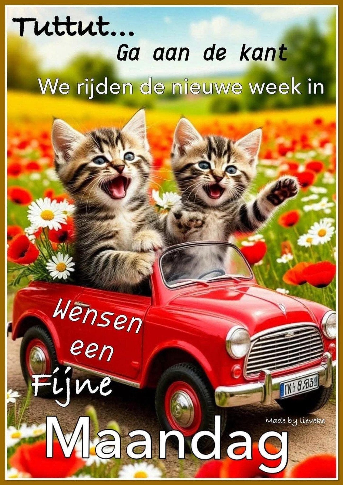 Gezocht stacaravan of iets