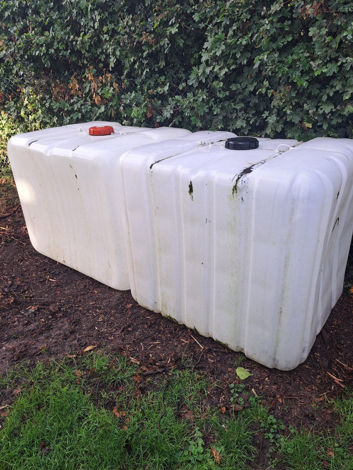 gratis IBC, Tuin en Terras, 150 liter of meer, Ophalen