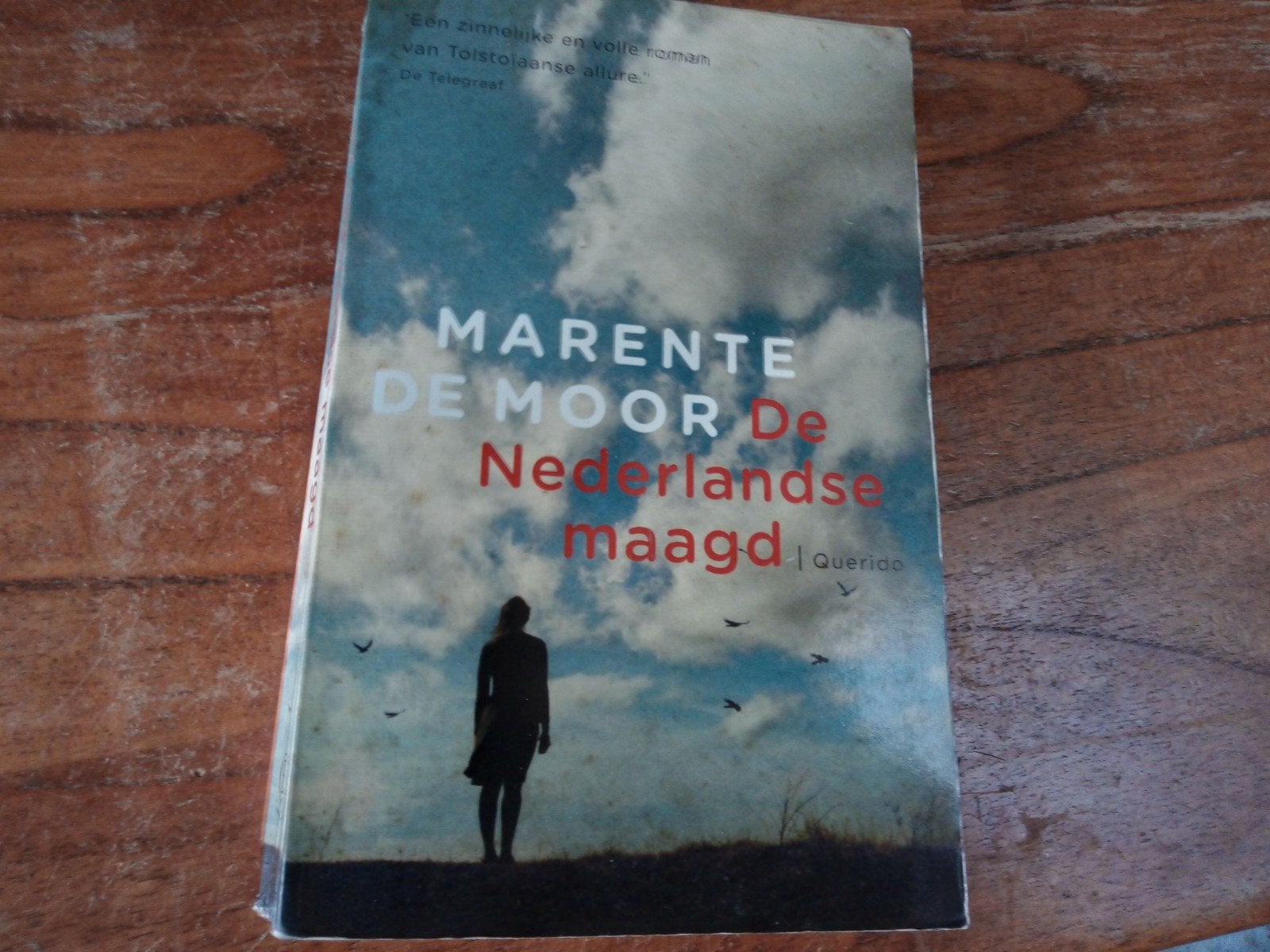 Marente de Moor - De Nederlandse maagd, Ophalen of Verzenden, Gelezen, Marente de Moor, Nederland