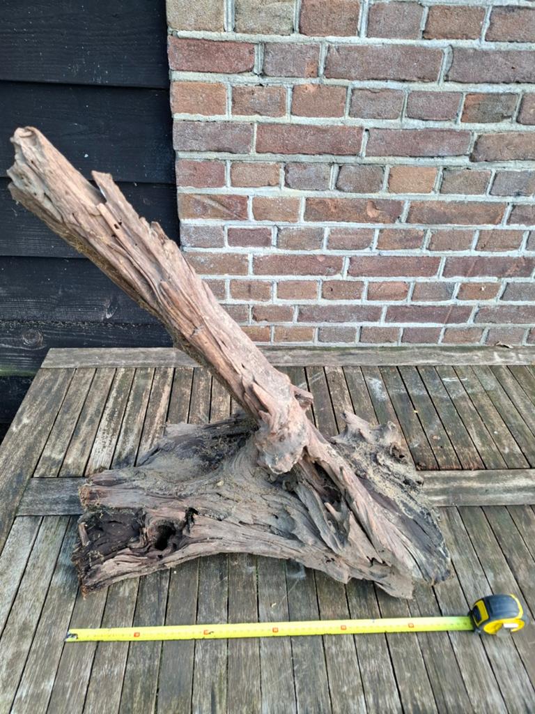 Uniek stuk drijfhout voor decoratie of aquarium, Dieren en Toebehoren, Ophalen