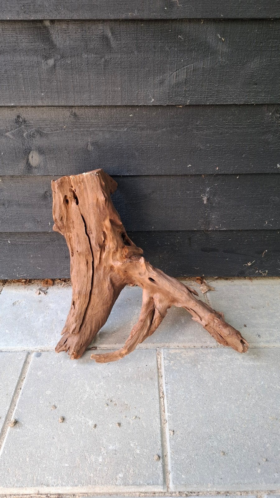 aquarium hout groot, Dieren en Toebehoren, Ophalen, Plant(en), Steen of Hout