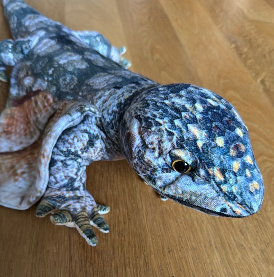 Reptiel prachtige knuffel Kraaghagedis, Ophalen, Overige merken, Overige typen, Nieuw