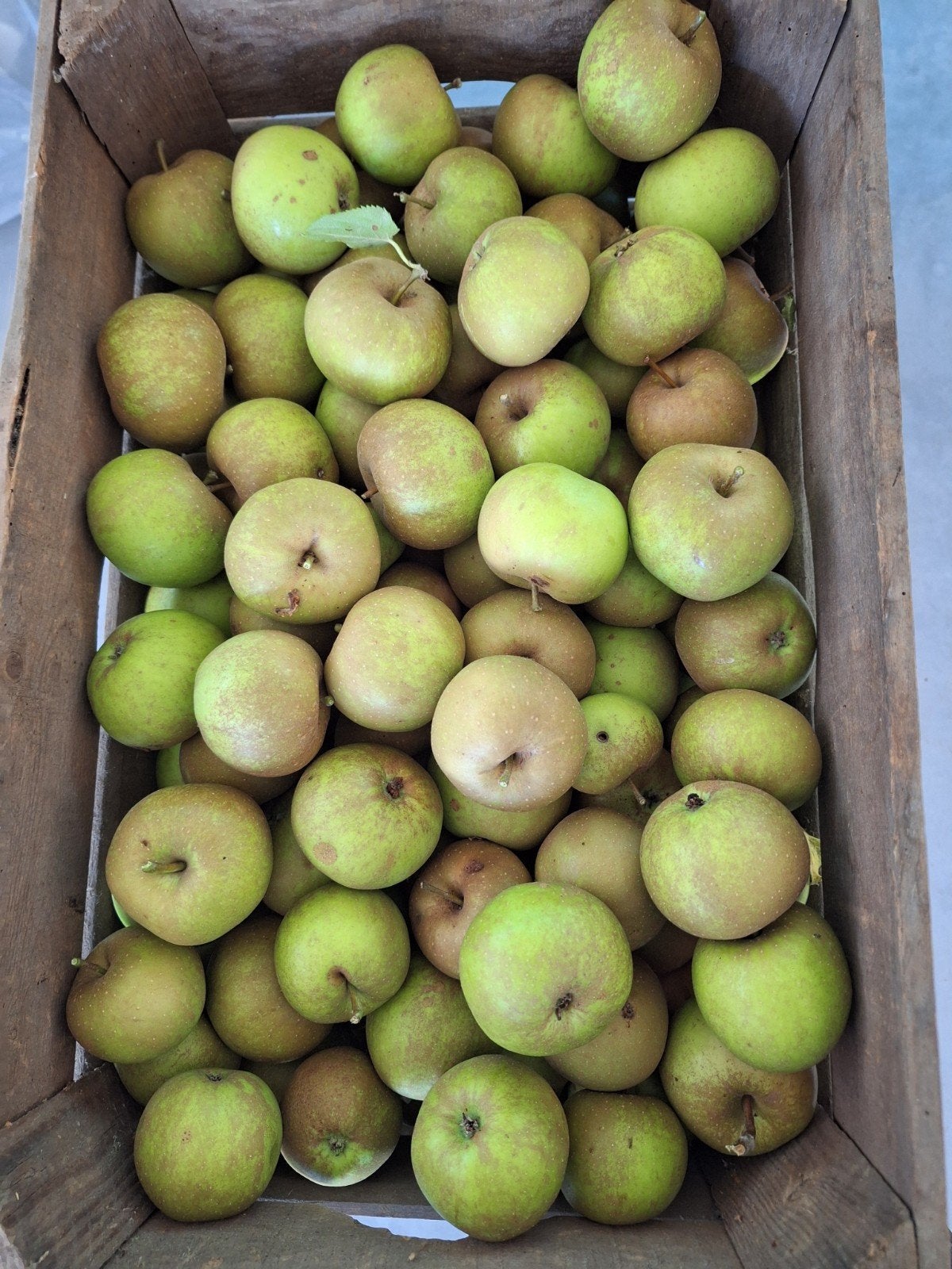 100 kg Goudreinetten onbespoten., Ophalen