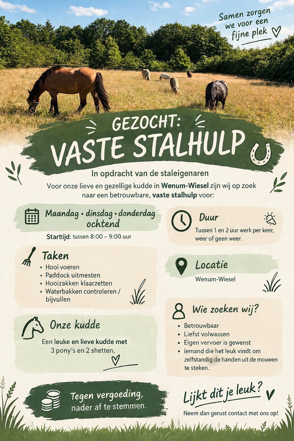 Gezocht: stalhulp, Weidegang, 4 paarden of pony's of meer