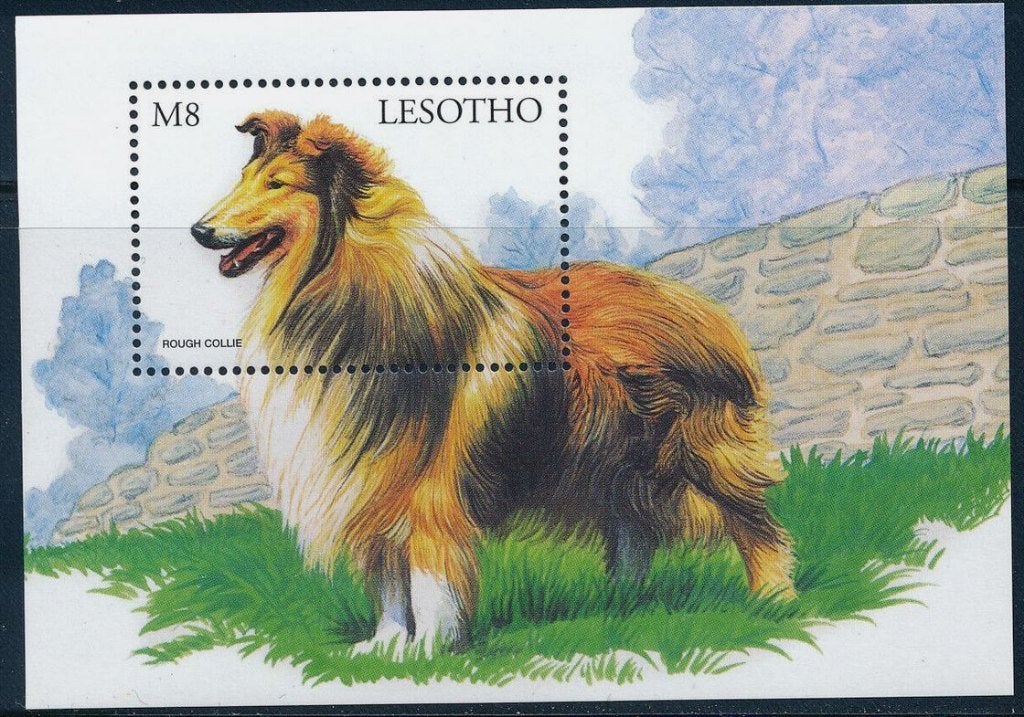 Lesotho 1999 Hond langharige collie barzoi 2x vel postfris, Ophalen of Verzenden, Overige landen, Postfris
