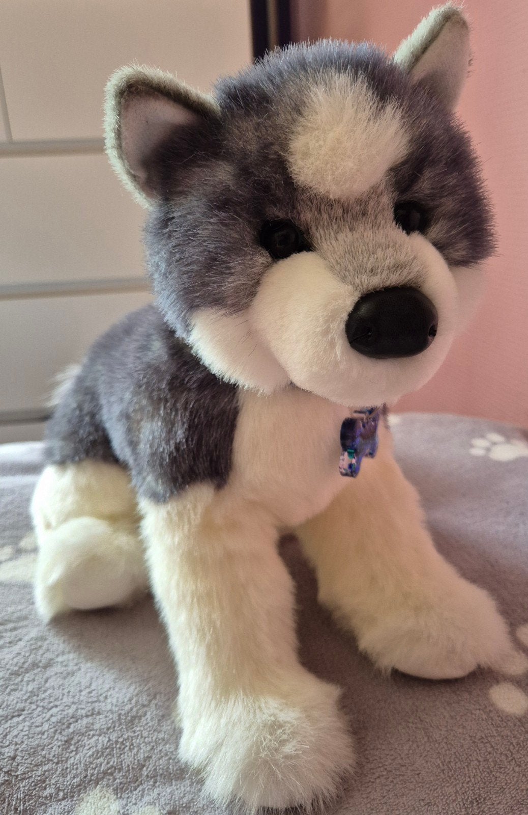 Douglas cuddle toys sasha husky hond knuffel ESSA, Overige merken, Overige karakters, Grijs, Nieuw