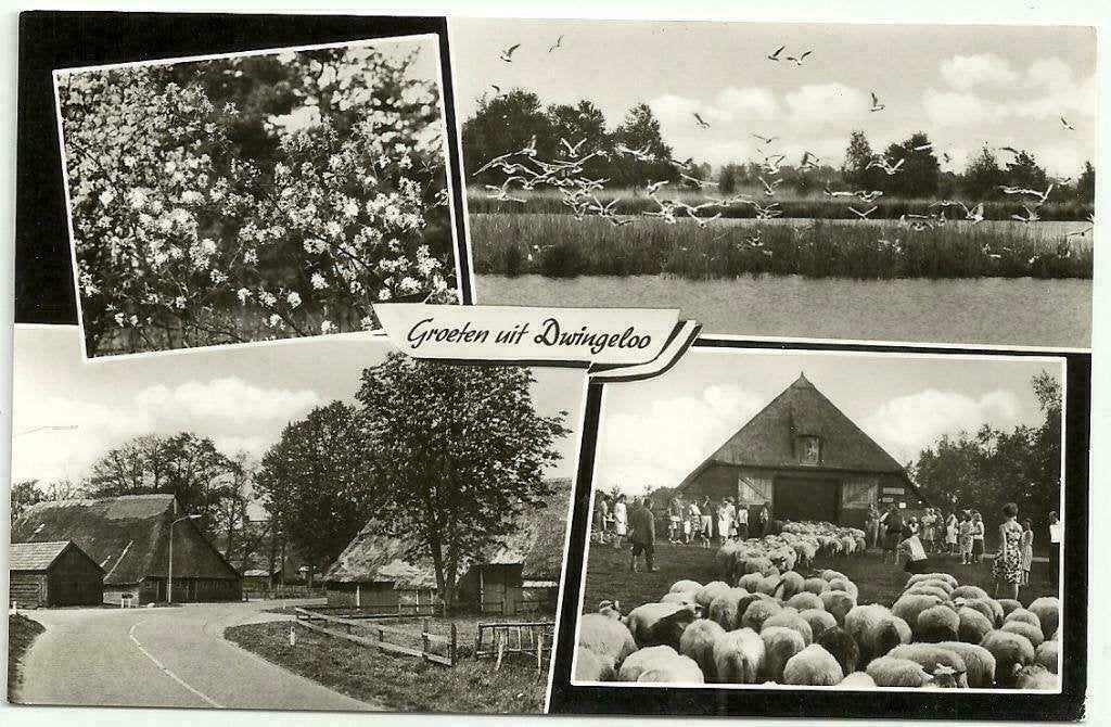 AK Dwingeloo - Groeten uit....Camping "De Olde Bârgen", Verzenden, 1960 tot 1980, Ongelopen, Drenthe