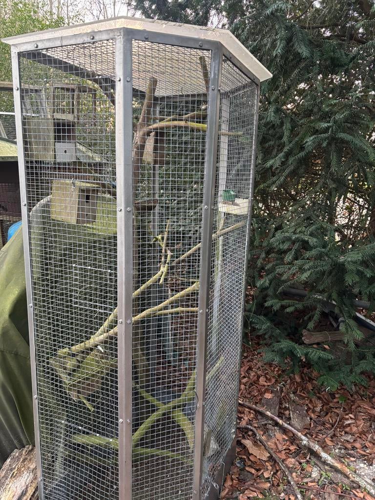 Vogelkooien gratis op te halen, Ophalen, Zo goed als nieuw, Metaal, Vogelkooi