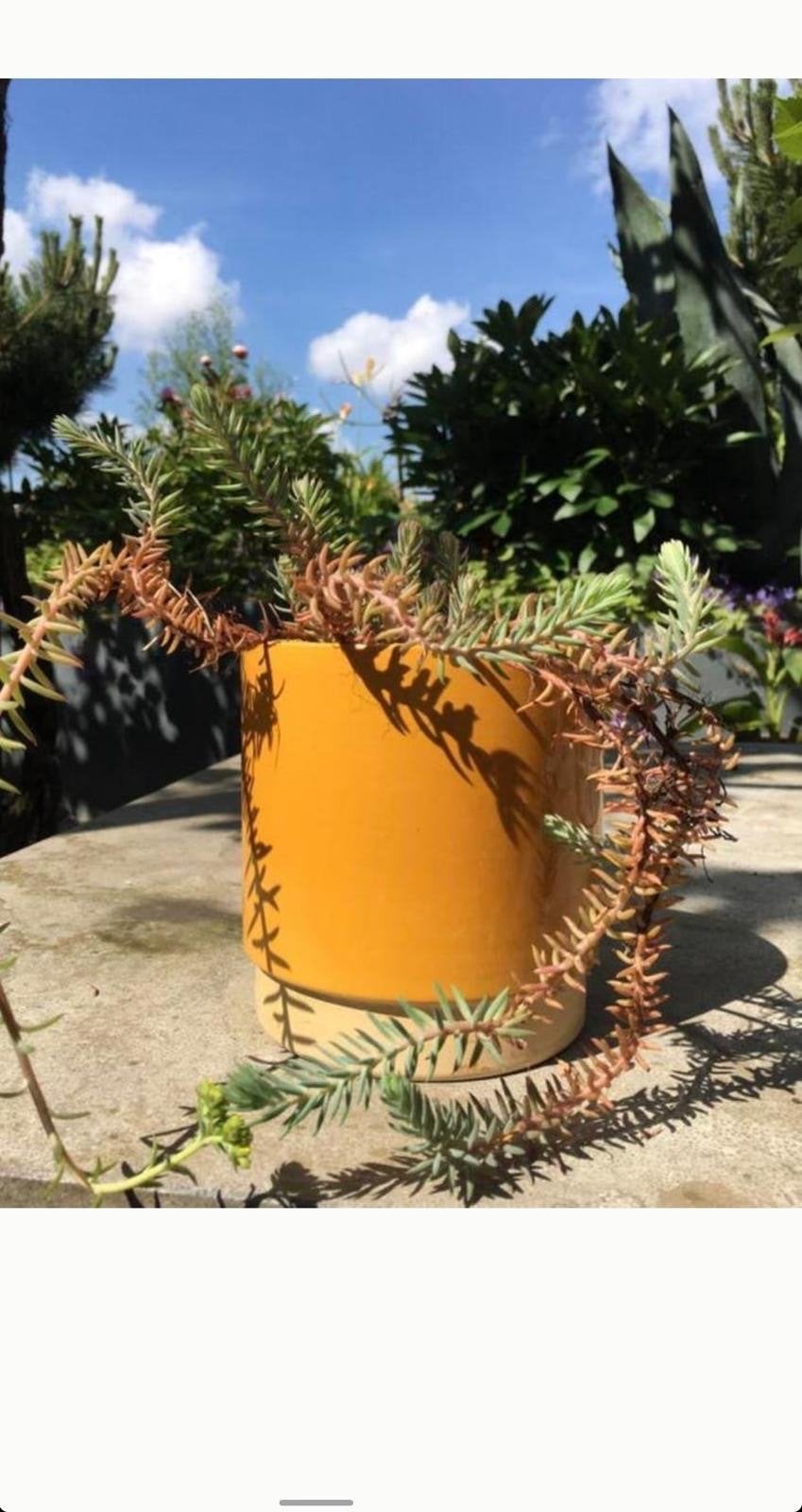 Mooie gele vintage bloempot zo goed als nieuw, Ophalen, Rond, Binnen, Zo goed als nieuw
