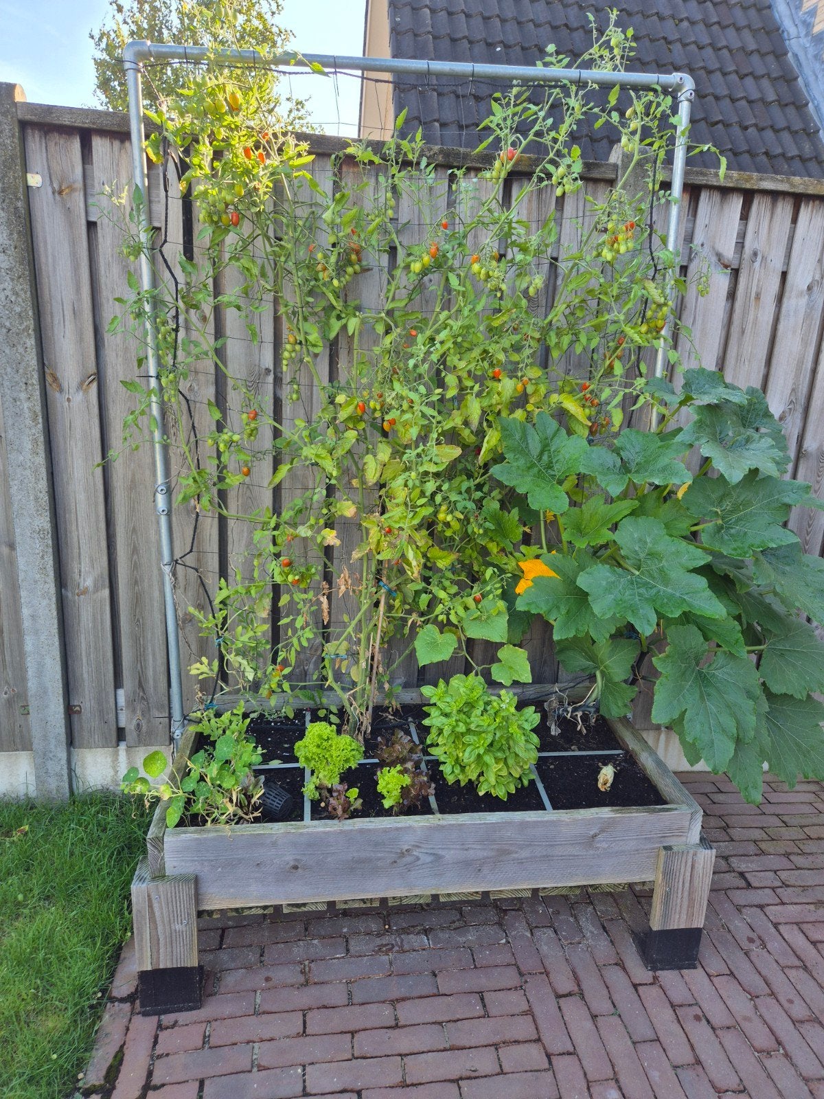 makkelijke moestuin bak, Ophalen, Halfschaduw, Overige soorten, 100 tot 250 cm