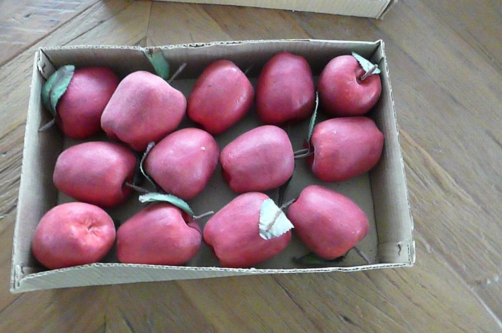 oud sierfruit (appels en peren), Ophalen of Verzenden, Overige typen