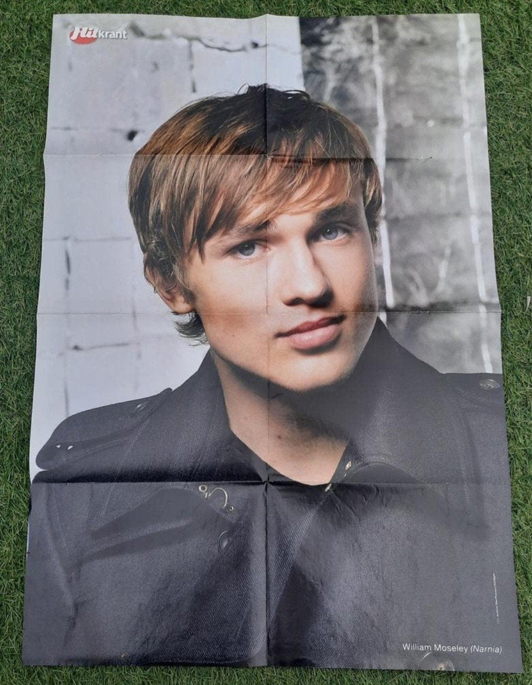 Grote Poster Hitkrant 2008 William Moseley / Paris with, Verzamelen, Ophalen of Verzenden, Gebruikt, A1 t/m A3, Film en Tv