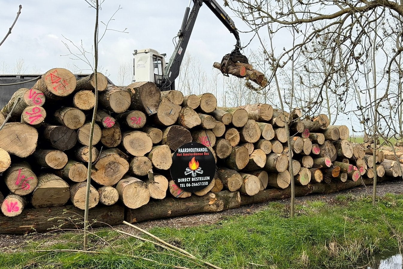 Droog haardhout uit het Amsterdamse Bos GRATIS BEZORGD *, Ophalen of Verzenden, Blokken