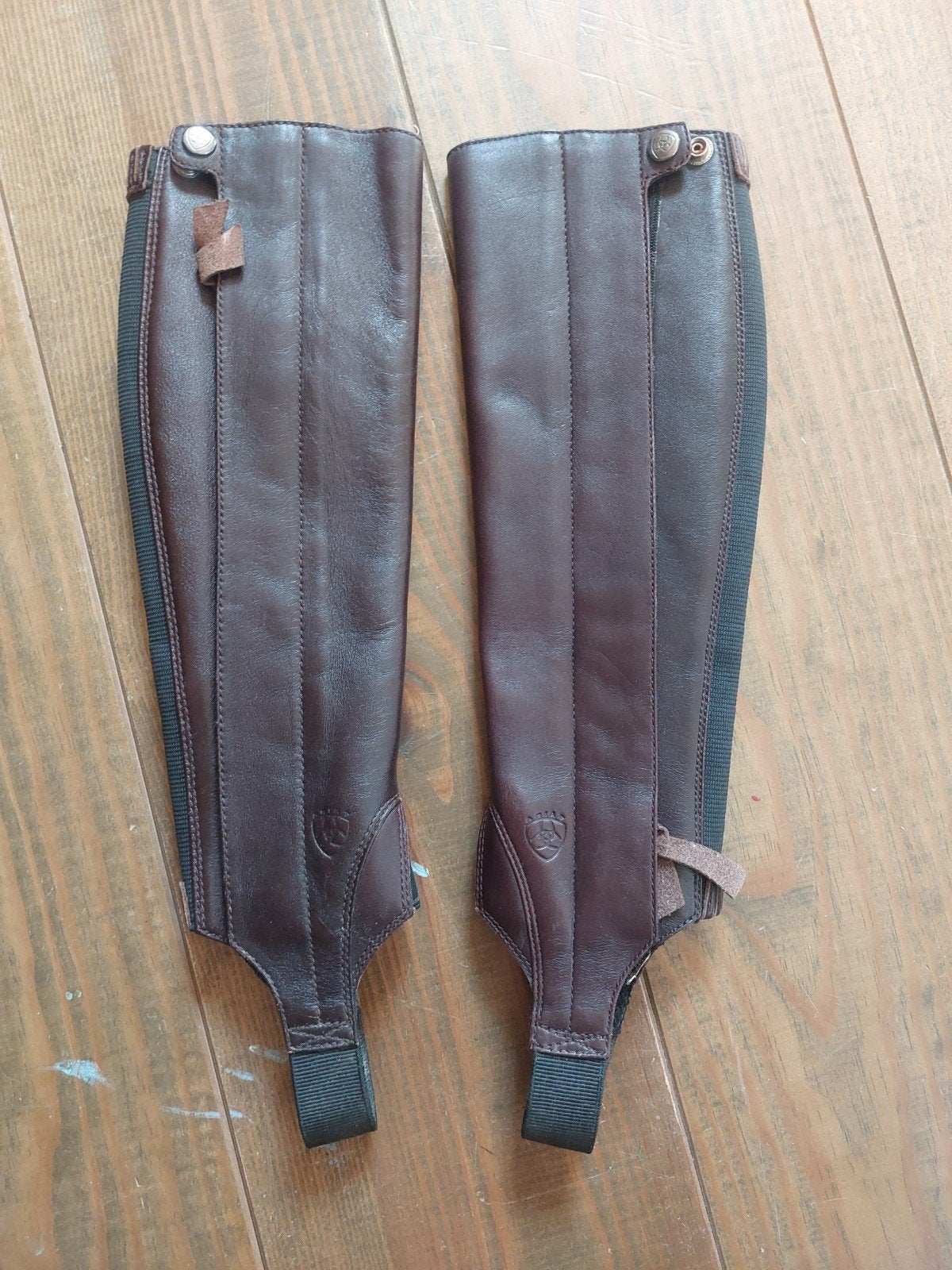 ariat concord minichaps kind, Ophalen of Verzenden, Schoeisel