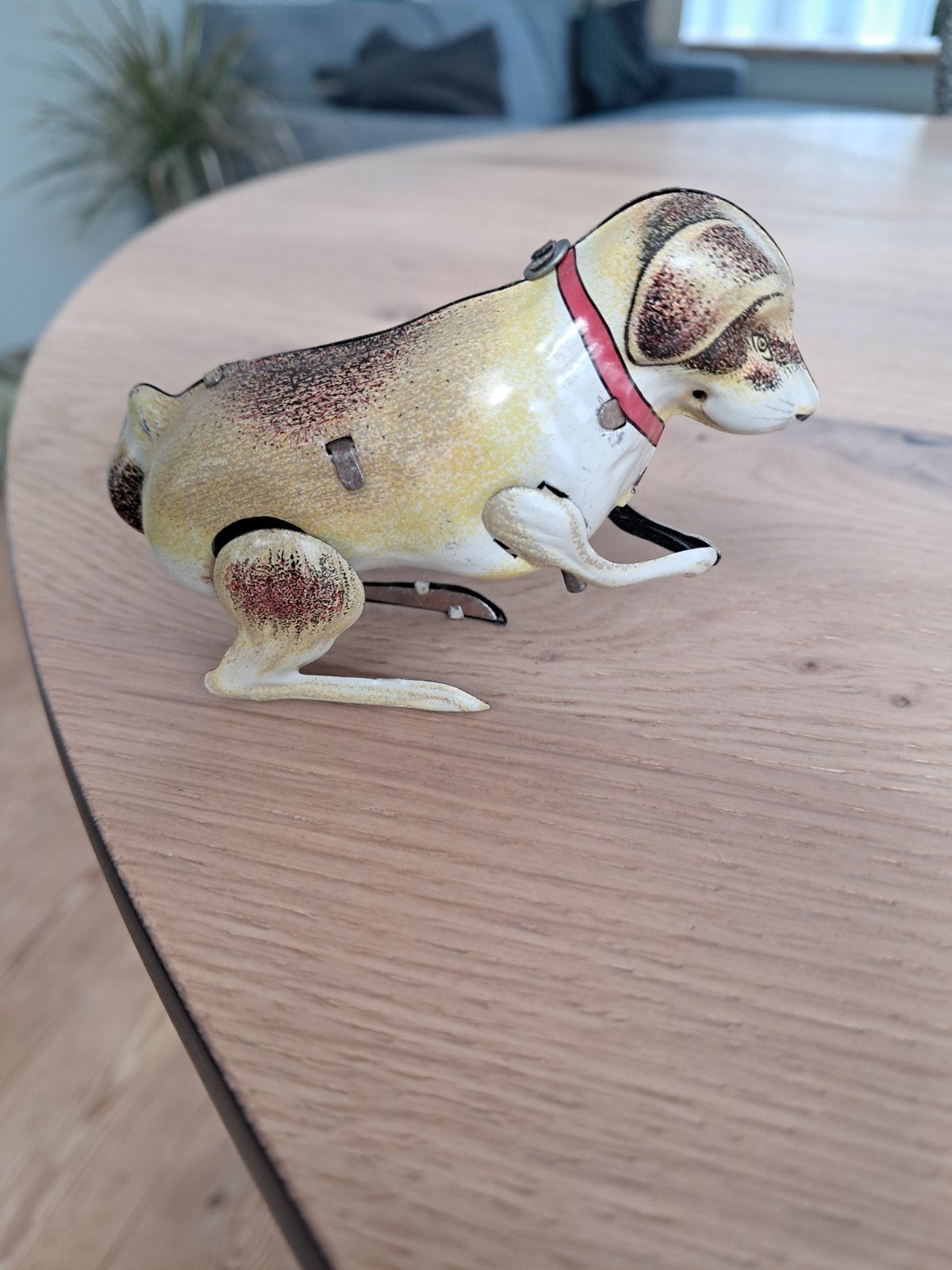 opwindbare blikken hond, Ophalen of Verzenden