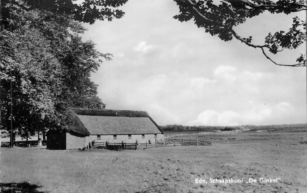 381-402-027 Ede Schaapskooi De Ginkel, Verzamelen, Verzenden, Voor 1920, Gelderland