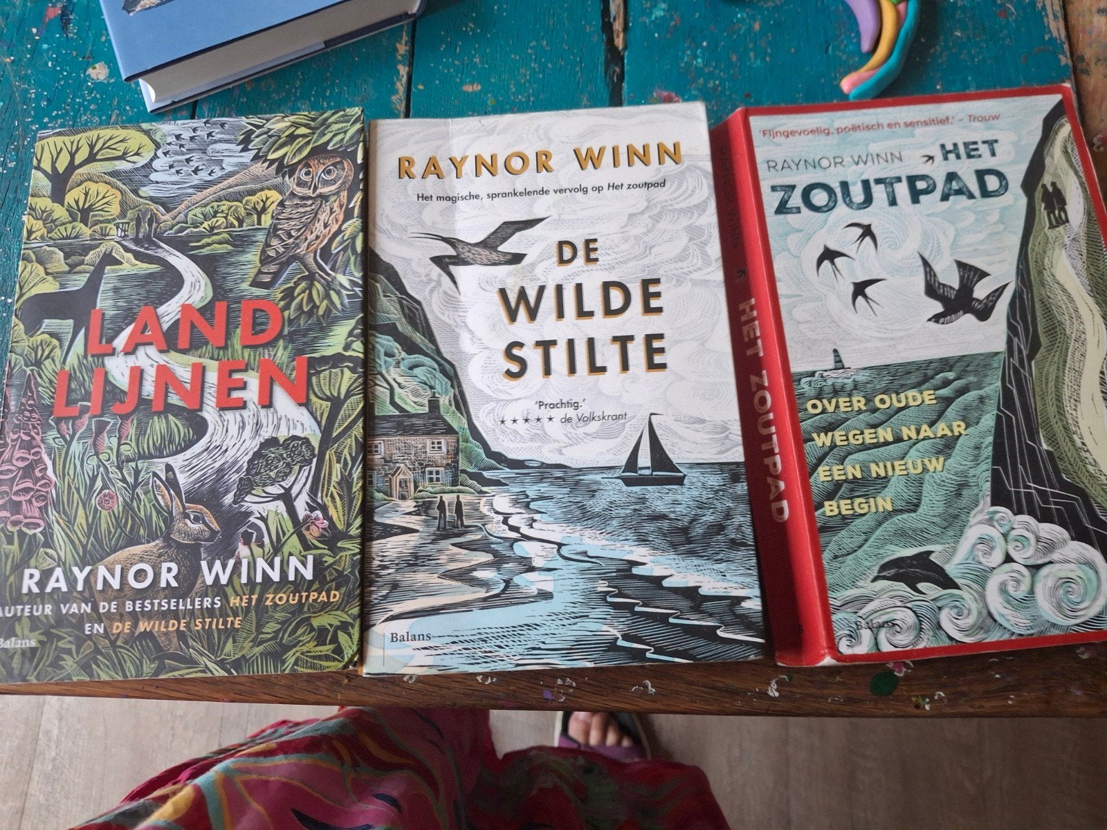 Raynor Winn Boeken: Het Zoutpad, De Wilde Stilte, Landlijnen, Boeken, Ophalen, Zo goed als nieuw, Raynor Winn, Nederland