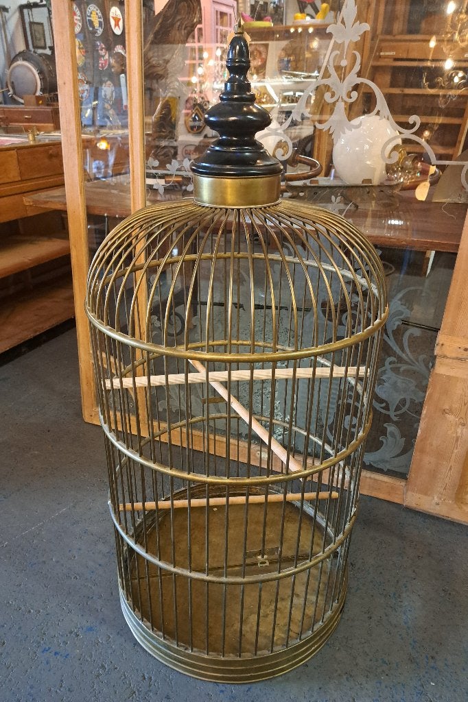 Een echte oude papegaaien kooi 120 cm hoog 56 cm doorsnee, Ophalen