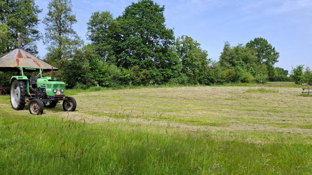 Verse hooibalen., Dieren en Toebehoren, Stalling en Weidegang