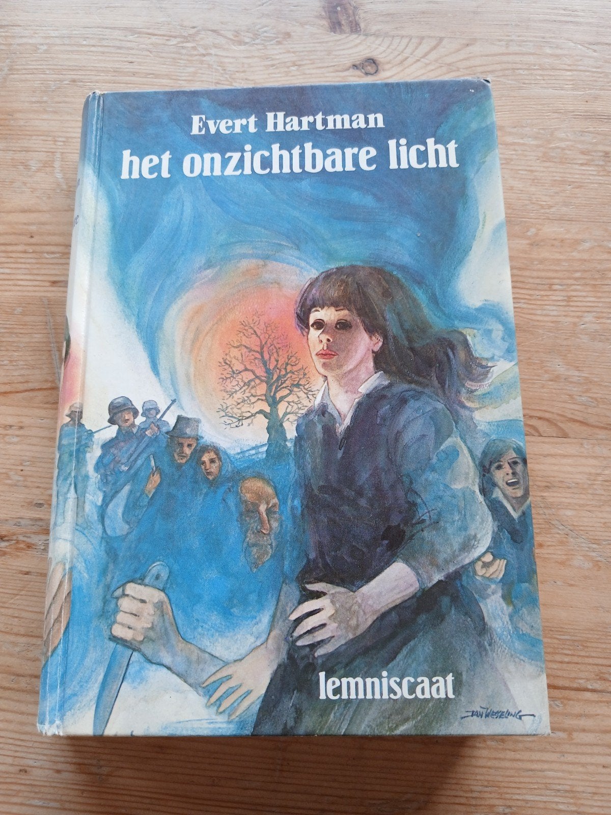 Het onzichtbare licht, Evert Hartman, Ophalen of Verzenden, Zo goed als nieuw