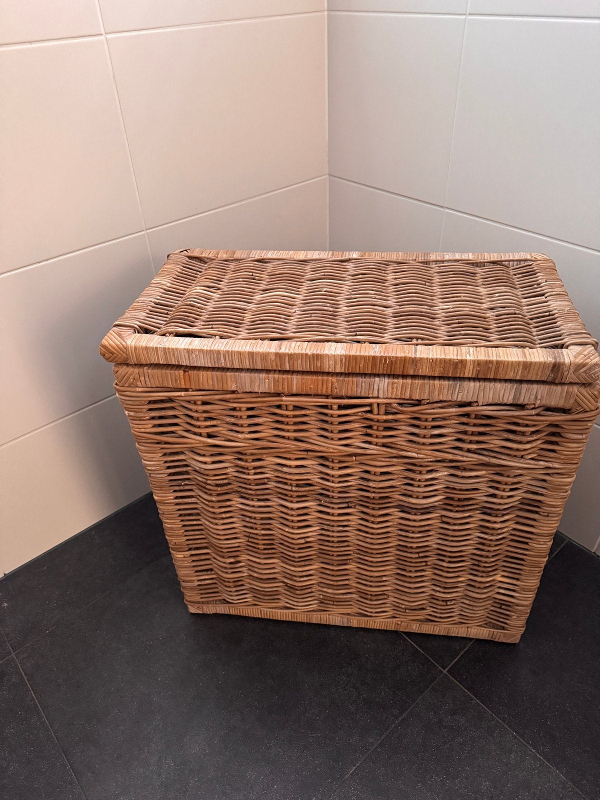 Rieten wasmand met deksel en twee vakken, Ophalen, Gebruikt, Gevlochten, Mand