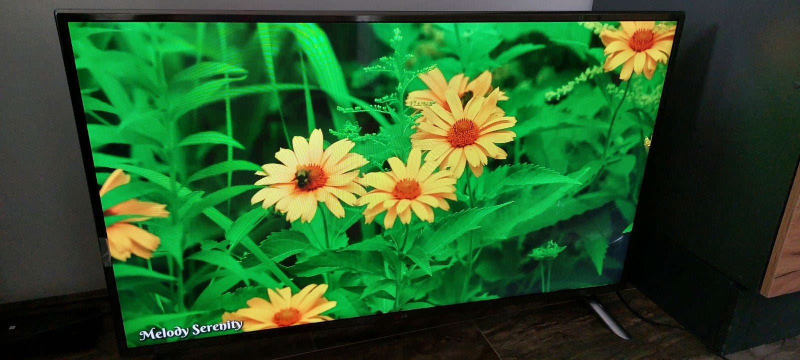 Smart tv LG 42 inch. Wifi. Apps. Heel mooie beeld. FullHD., Audio, Tv en Foto, Televisies, Ophalen, LED, 50 Hz, Zo goed als nieuw