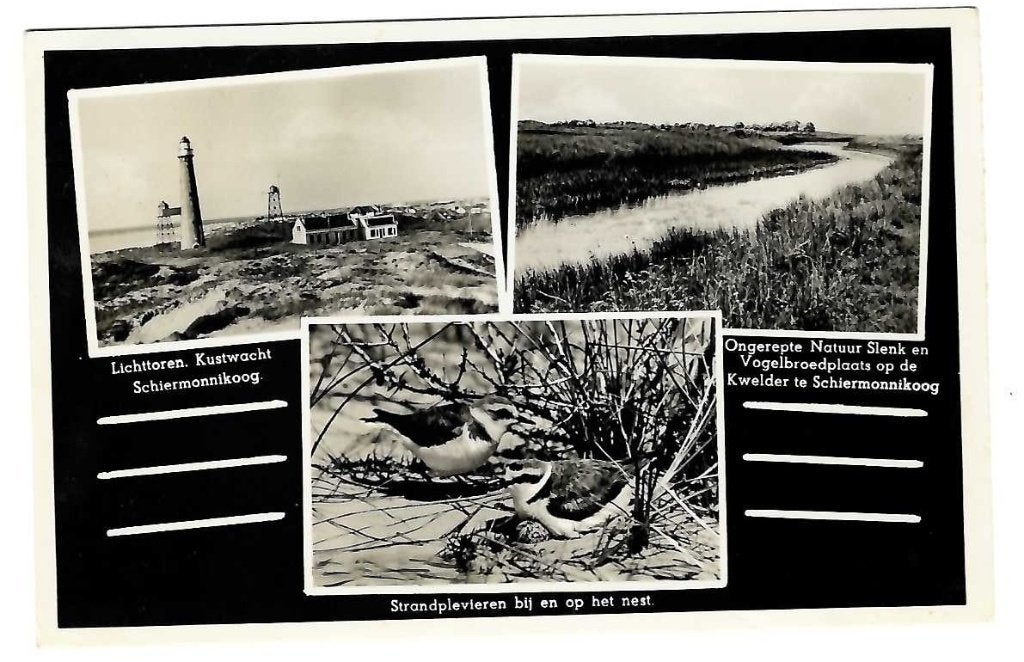 Schiermonnikoog - Lichttoren/Strandplevieren/Natuur, Verzenden, 1940 tot 1960, Gelopen, Waddeneilanden