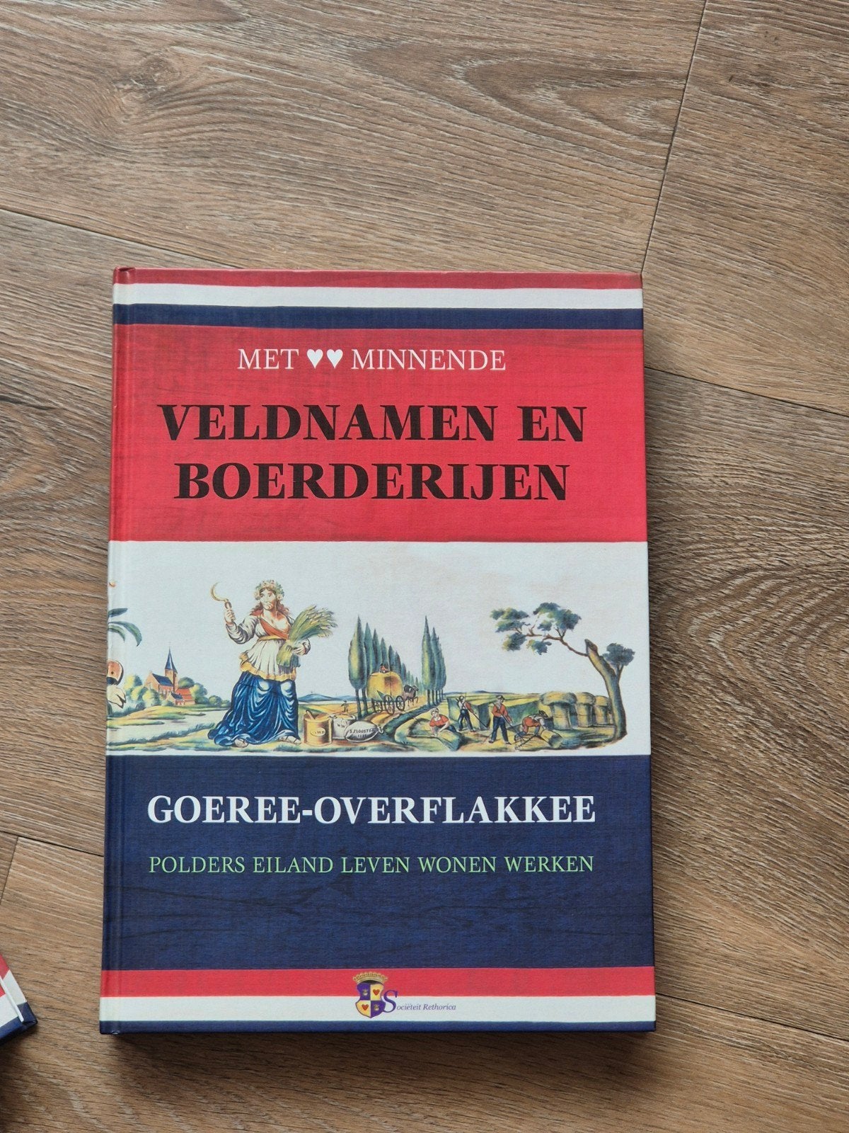 Veldnamen en Boerderijen Goeree-Overflakkee met kaarten zgan, Ophalen of Verzenden, 20e eeuw of later, Zo goed als nieuw, Onbekend