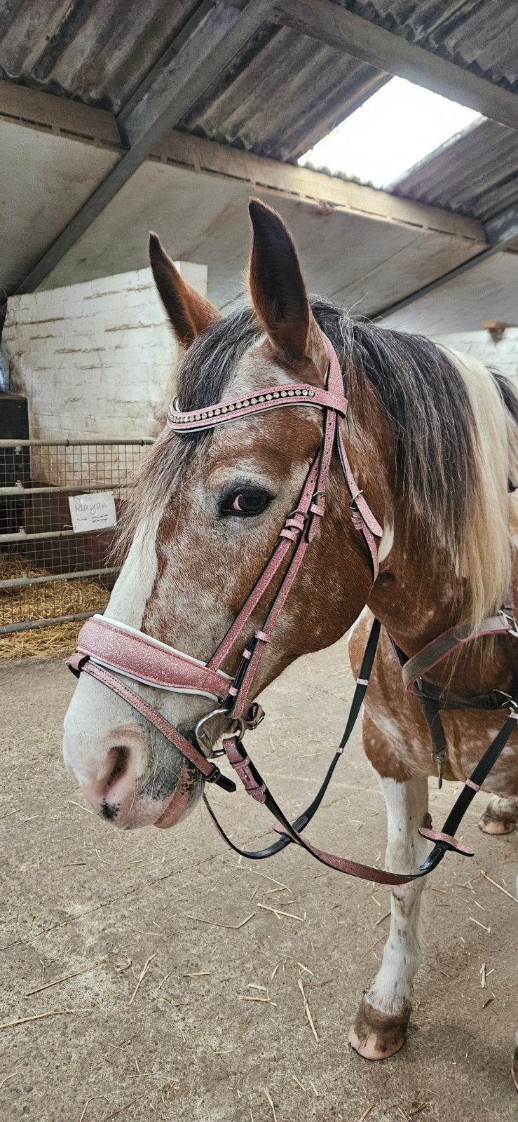 Roze glitter hoofdstel, Dieren en Toebehoren, Ophalen of Verzenden, Dressuur