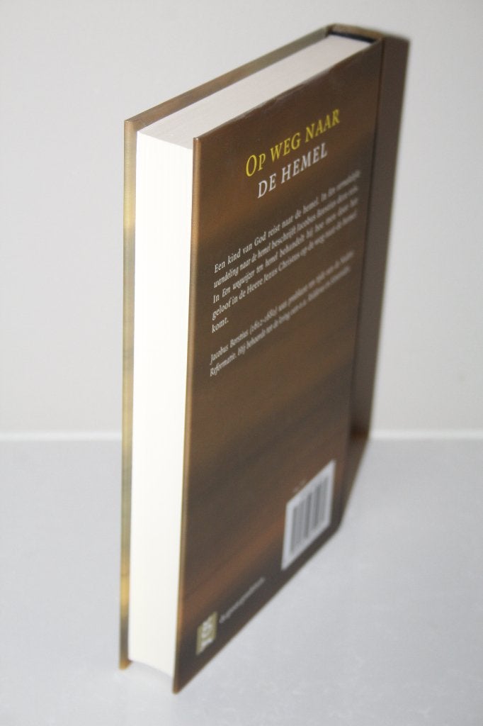 Jacobus Borstius - Op weg naar de hemel, Boeken, Godsdienst en Theologie, Ophalen of Verzenden, Gelezen, Christendom | Protestants