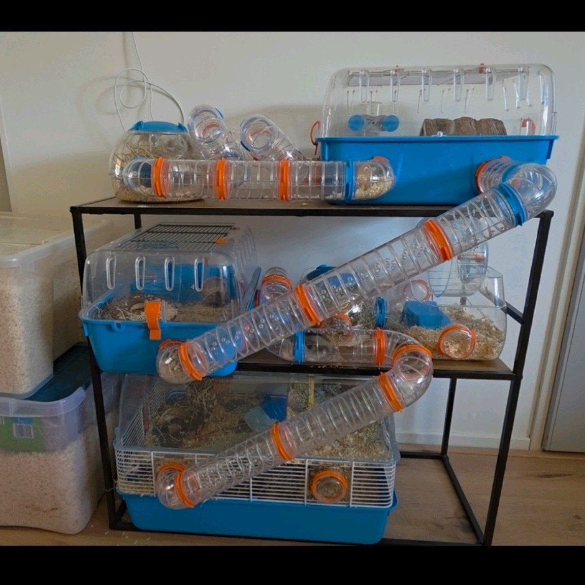 Ferplast hamsterkooi met veel benodigdheden, Dieren en Toebehoren, Ophalen of Verzenden, Gebruikt