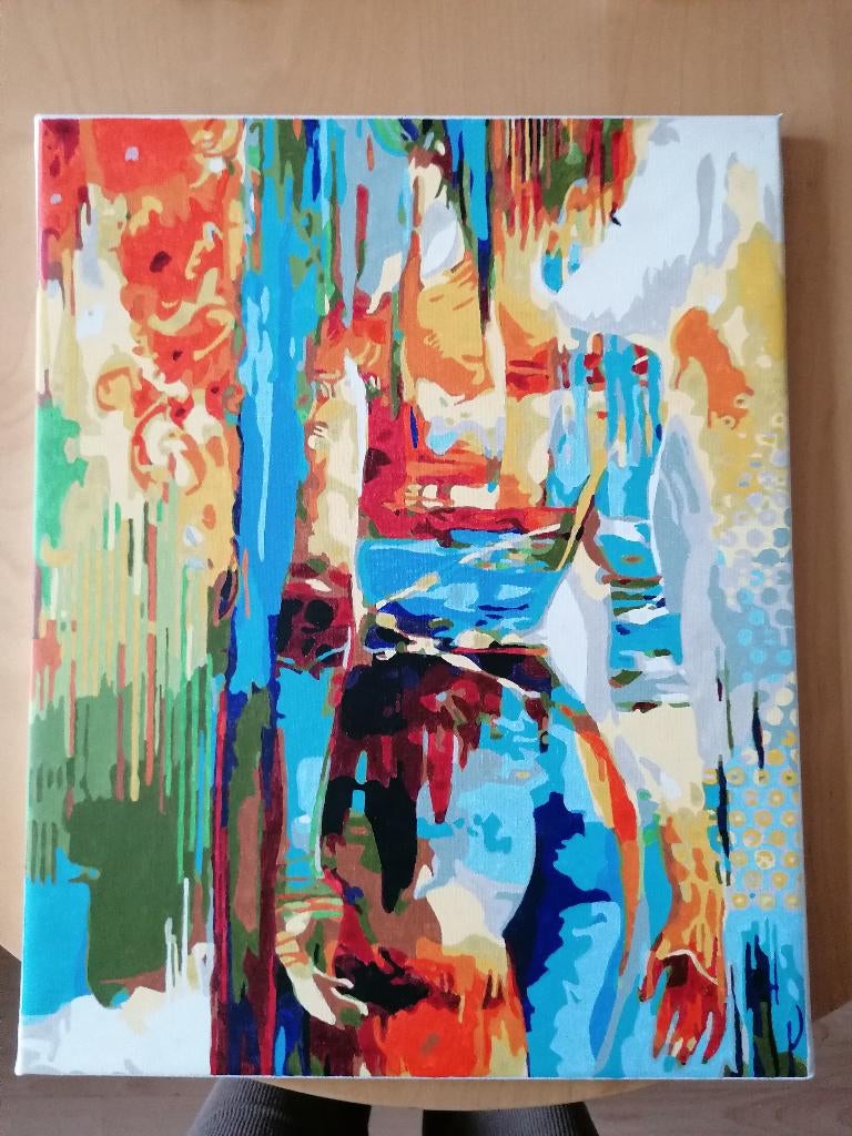 Canvas schilderij, Ophalen, Minder dan 50 cm, 50 tot 75 cm, Zo goed als nieuw