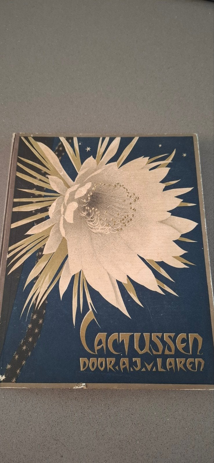 verkade Zaandam plakboek cactussen 1931, Boeken, Ophalen of Verzenden, Gelezen