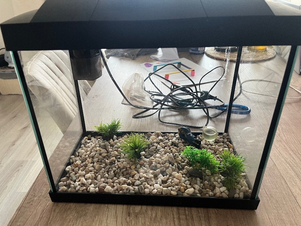 Aquarium zonder visjes, Ophalen, Aquariummeubel, Zo goed als nieuw, Inclusief toebehoren