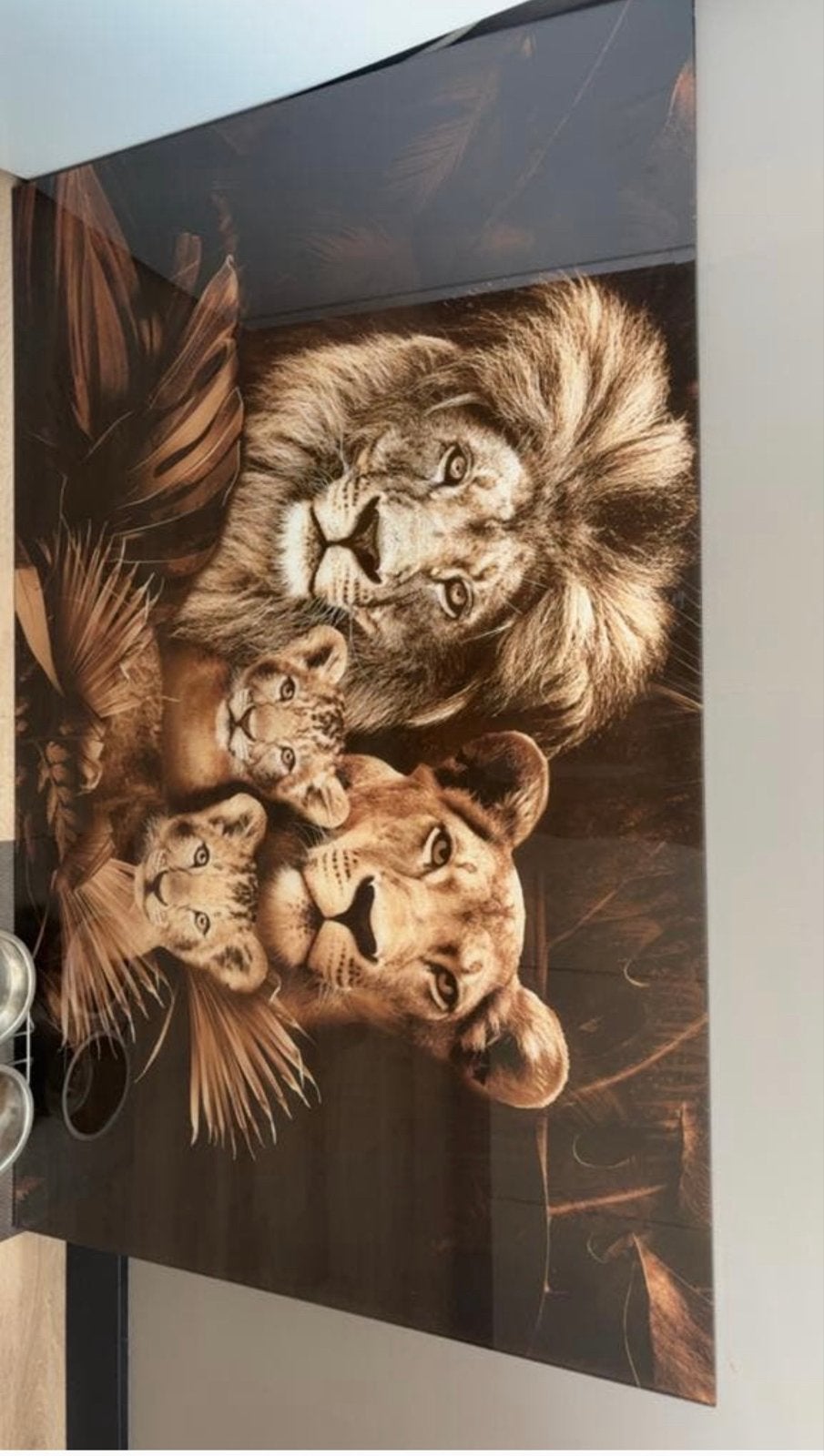 Glazen schilderij leeuwen familie 120x80 cm, Ophalen