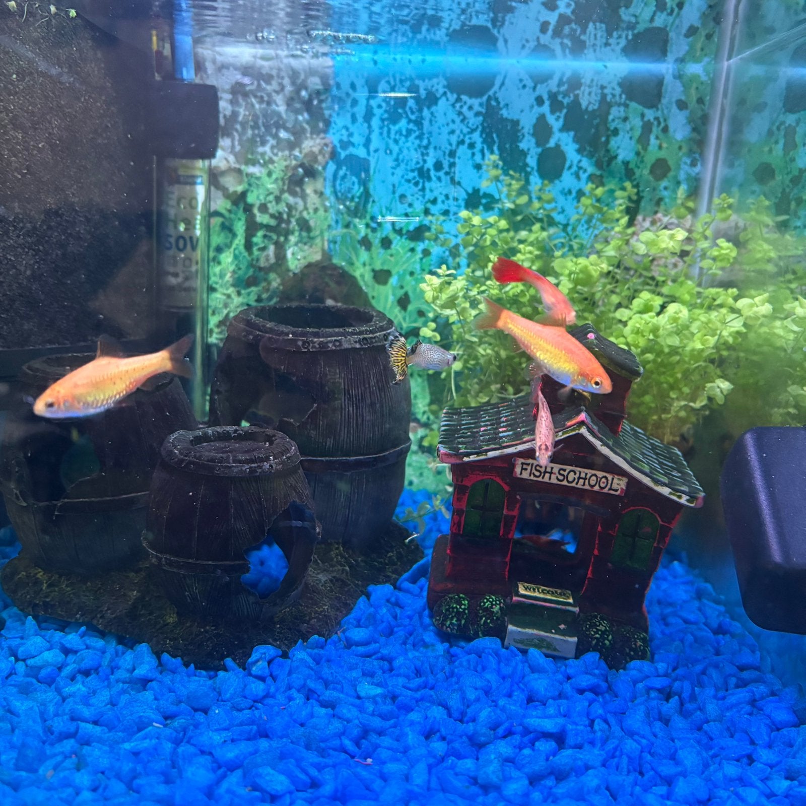 Aqarium, Tuin en Terras, Ophalen, Zo goed als nieuw