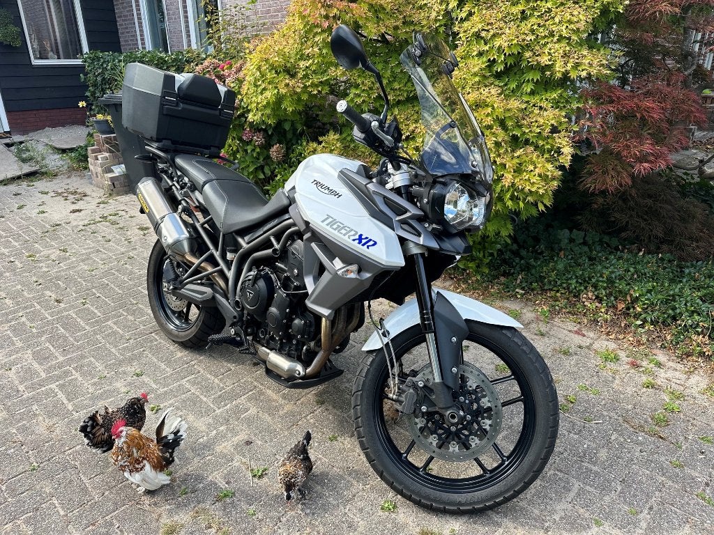 Nieuwstaat 9.586 km | Triumph Tiger 800 XR (2016), Motoren, Motorrijbewijs A, 3 cilinders, Particulier, Meer dan 35 kW