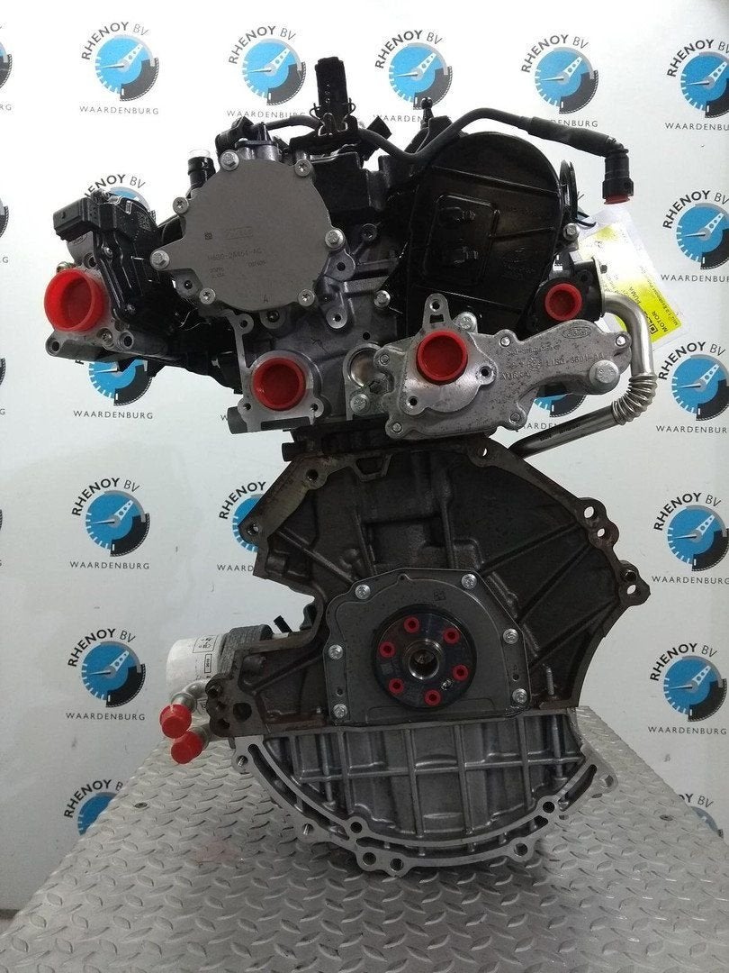 FORD PUMA MOTOR 2021, Auto-onderdelen, Motor en Toebehoren, Gebruikt, ARN erkend, Stiba lid, Erkend duurzaam, Ophalen of Verzenden