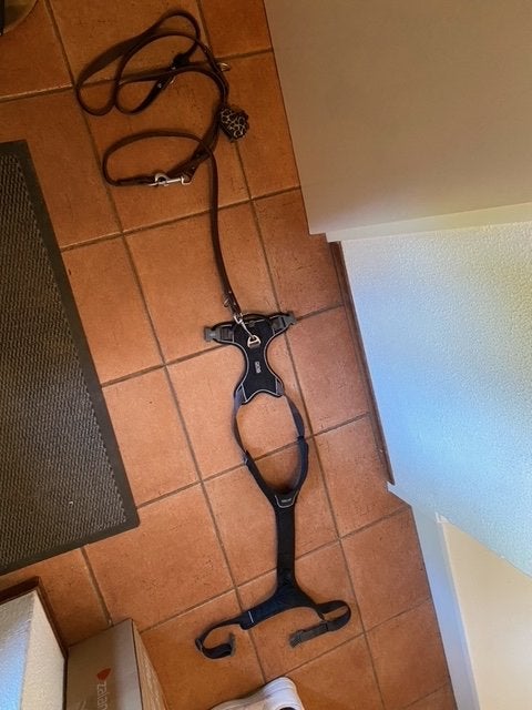 Dog Copenhagen Hondentuig Comfort Walk Pro Moc, Ophalen of Verzenden, Zo goed als nieuw