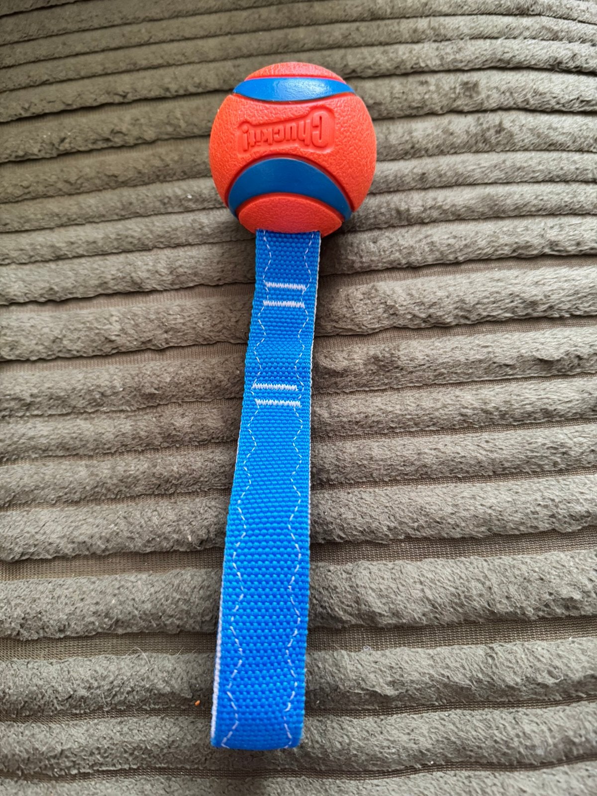 Chuckit bal, Ophalen of Verzenden, Nieuw, Apporteerspeelgoed, Chuckit