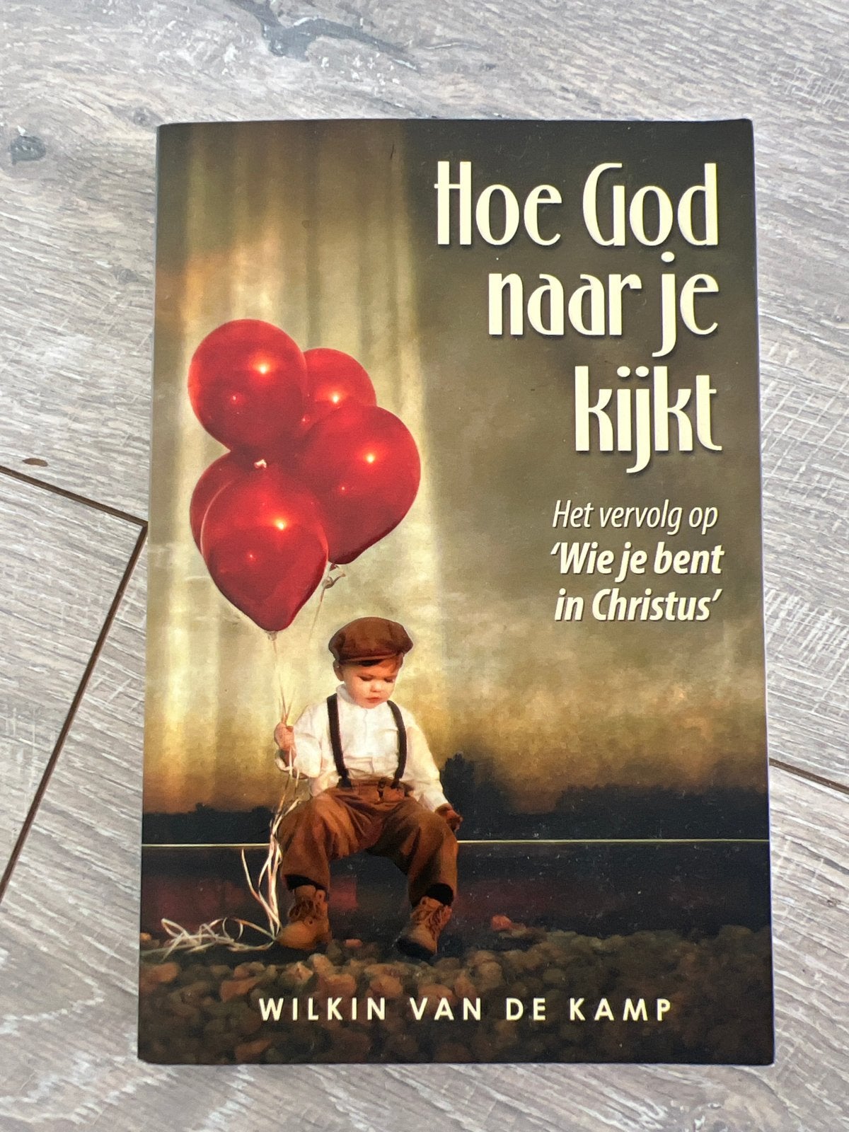 Hoe God naar je kijkt - Wilkin van de Kamp, Ophalen of Verzenden, Zo goed als nieuw, Christendom | Protestants