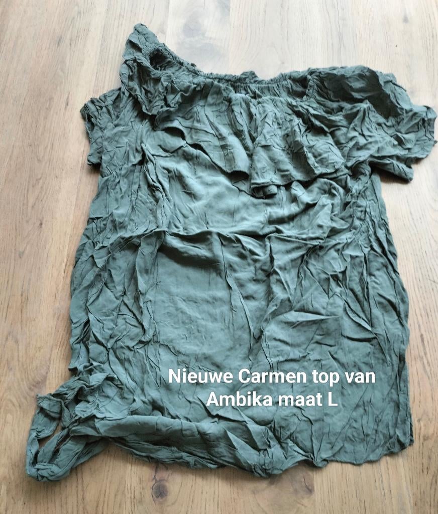 Nieuwe top van Ambika maat L, Kleding | Dames, Tops, Maat 42/44 (L), Nieuw, Ophalen of Verzenden, Korte mouw
