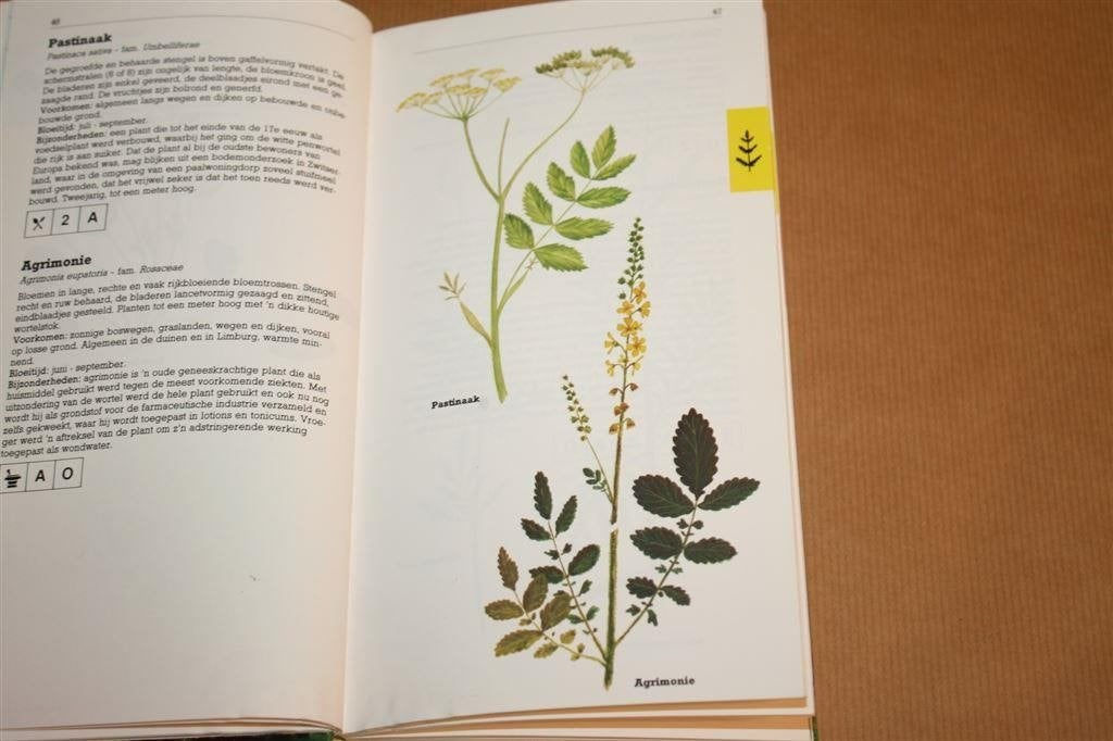 Zakflora voor de duin- en kuststreek, Boeken, Ophalen of Verzenden, Gelezen
