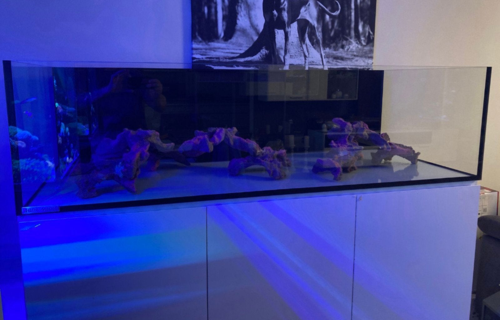 Aquamedic Armatus Lagoon 400, Dieren en Toebehoren, Ophalen, Gevuld zeewateraquarium, Zo goed als nieuw, Inclusief toebehoren