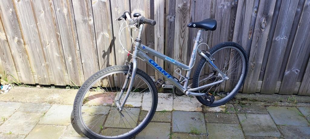 Giant Boulder Mountainbike, Ophalen, Gebruikt, Giant