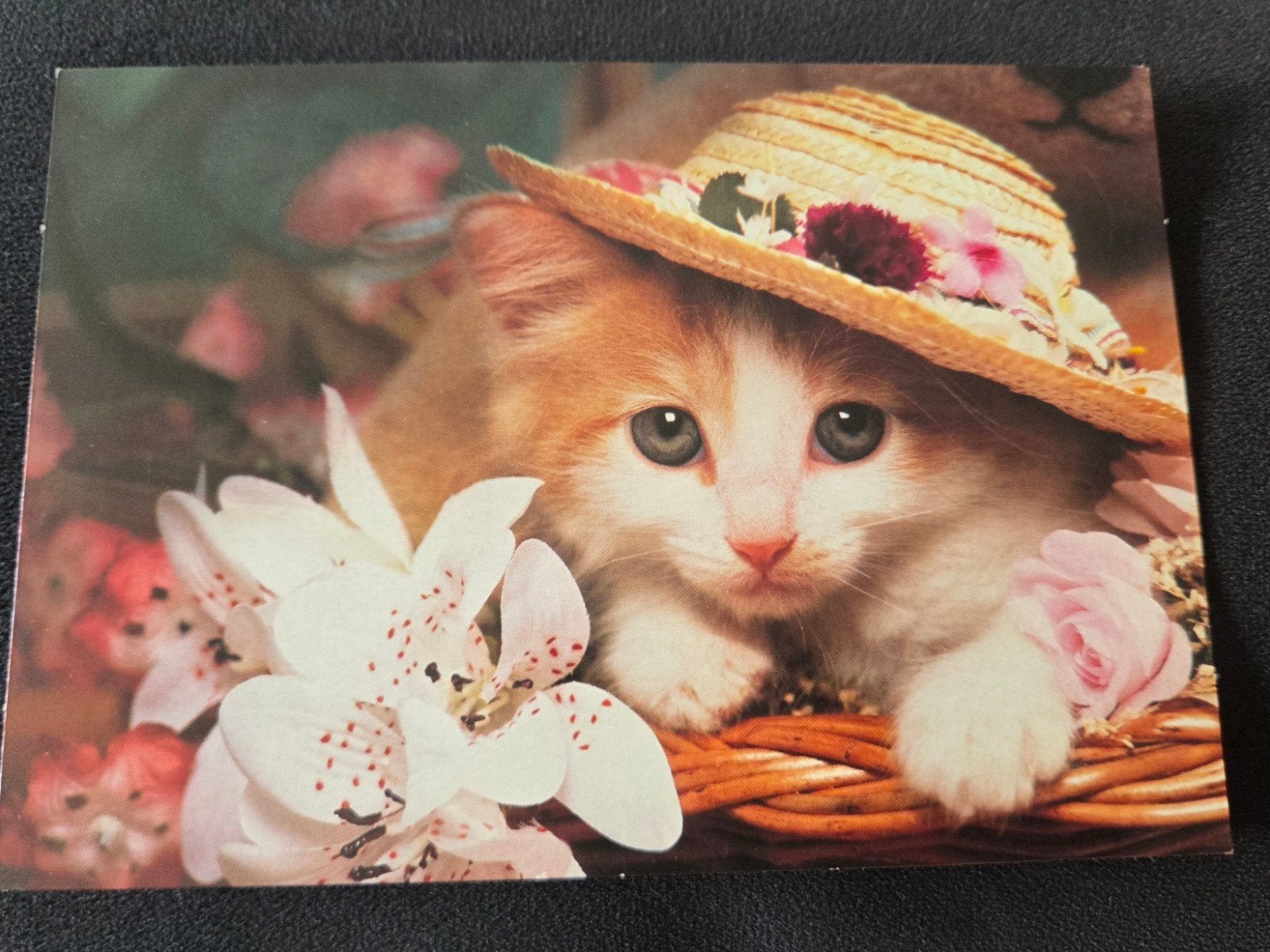 Schattige kattenkaart met hoedje en bloemen, Verzenden, 1980 tot heden, Ongelopen, Hond of Kat
