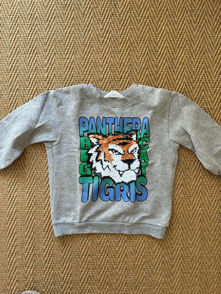 H&M sweater met omkeerbare pailletten - Tijger (maat 110/116, Ophalen of Verzenden, Zo goed als nieuw, Jongen of Meisje, Trui of Vest