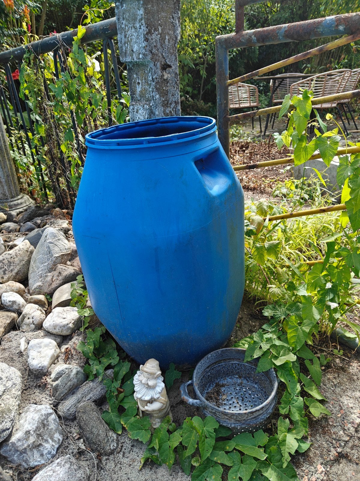 blauwe regenton, gratis af te halen, 75 tot 150 liter, Ophalen, Gebruikt, Kunststof